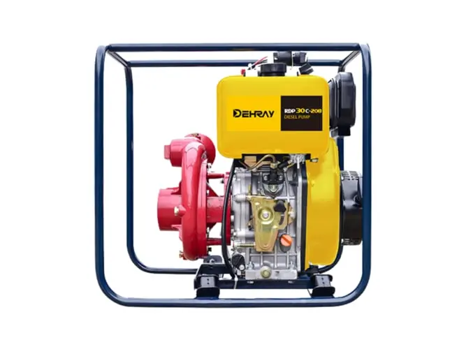 Cast Iron Pump RDP30C